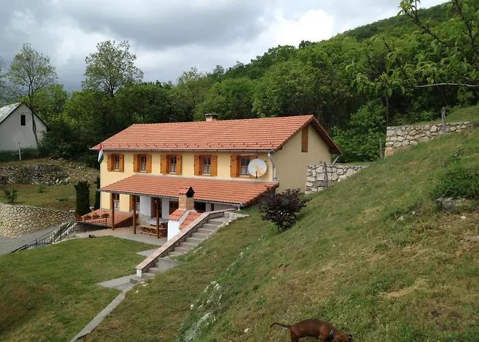 Pensiune Judit Vendeghaz
